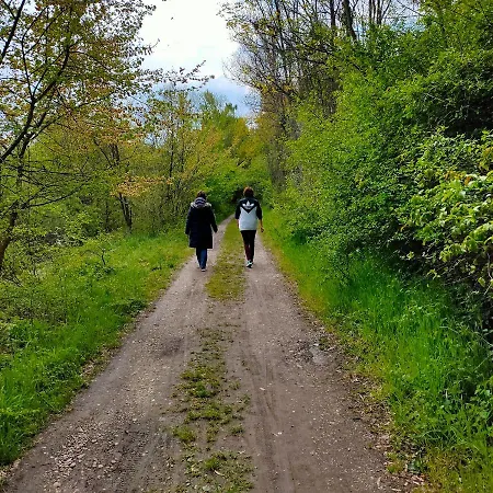 Restaurant Oberle ホテル 2*