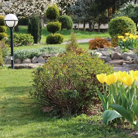 Restaurant Oberle Hotel 2*